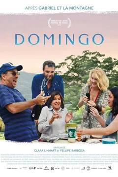 Affiche du film Domingo
