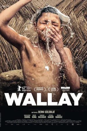 Affiche du film : Wallay