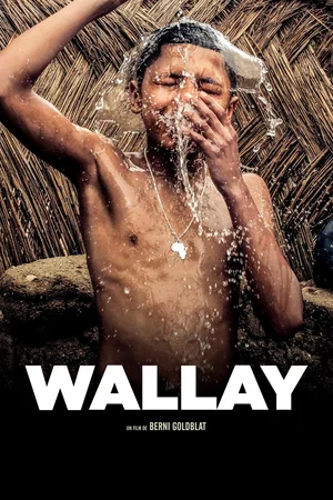 Photo 3 du film : Wallay