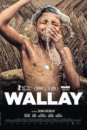 Photo 4 du film : Wallay