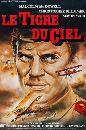Photo 2 du film : Le Tigre du ciel