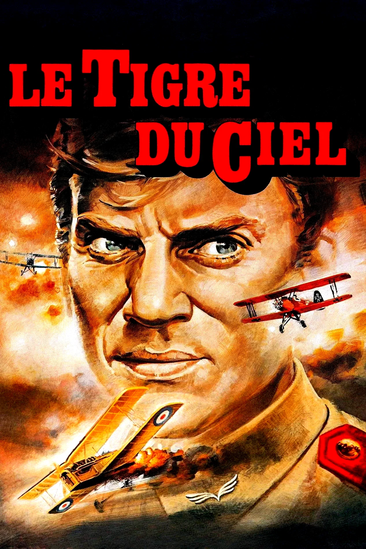 Photo 3 du film : Le Tigre du ciel