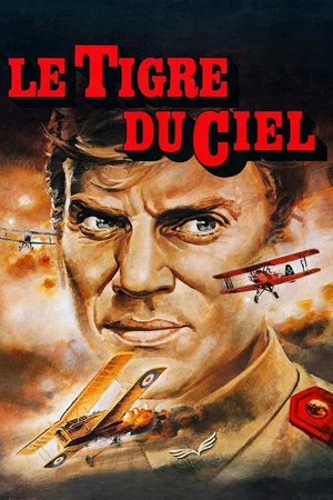 Photo 3 du film : Le Tigre du ciel