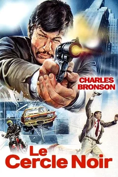 Affiche du film Le cercle noir