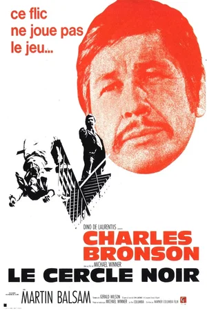 Photo 3 du film : Le cercle noir