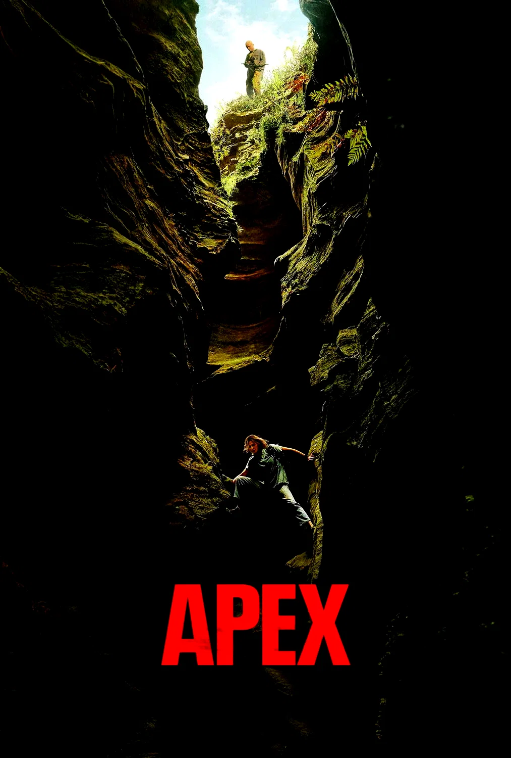 Affiche du film : APEX