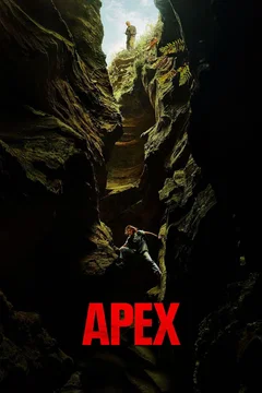 Affiche du film APEX