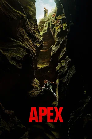 Affiche du film : APEX