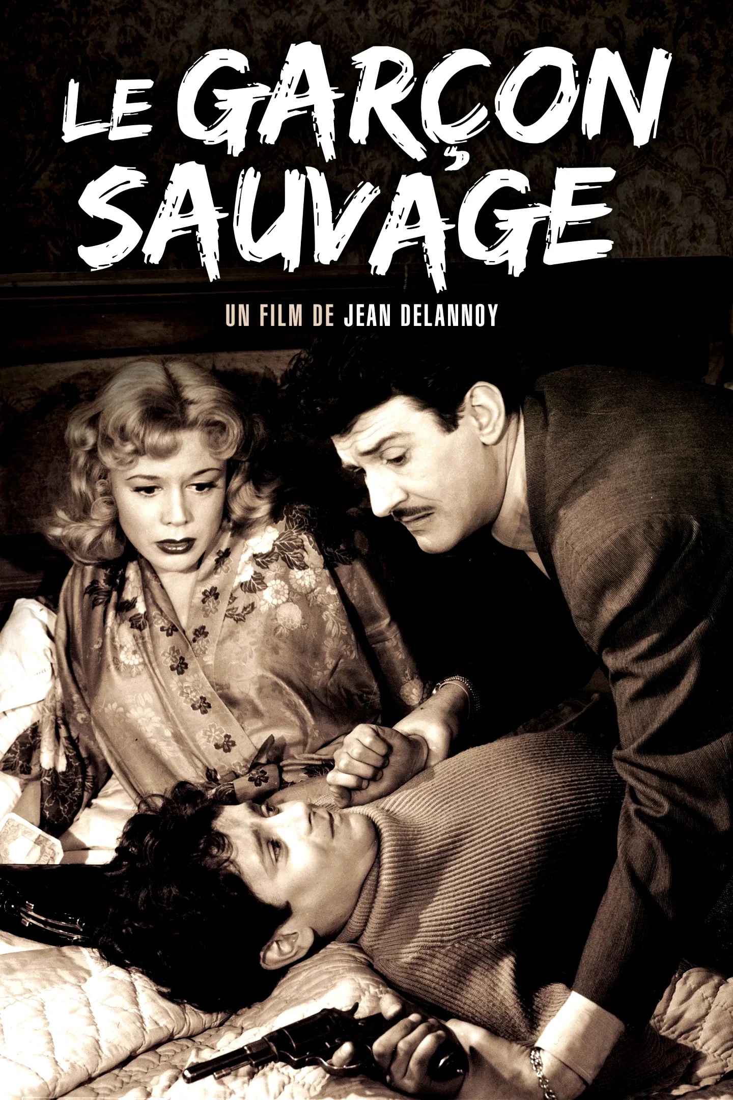 Affiche du film : Le garcon sauvage