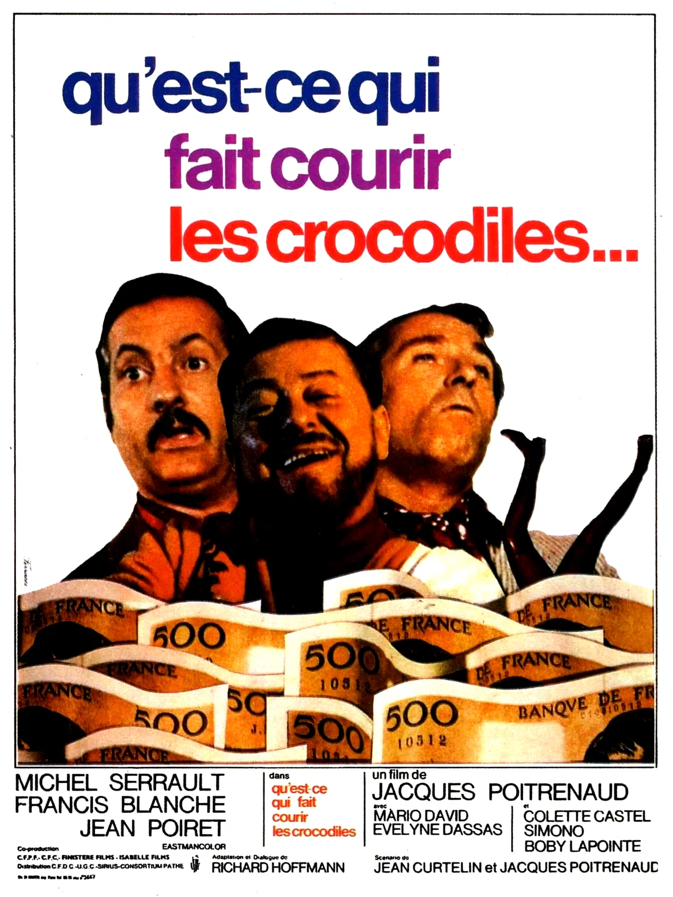 Photo du film : Qu'est ce qui fait courir les crocodiles ?