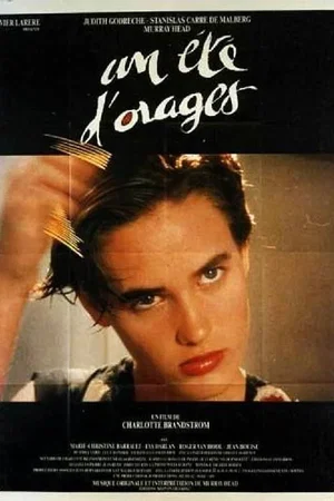 Affiche du film : Un ete d'orages