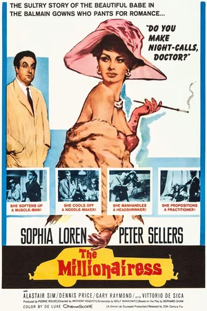 Affiche du film : Les dessous de la millionnaire