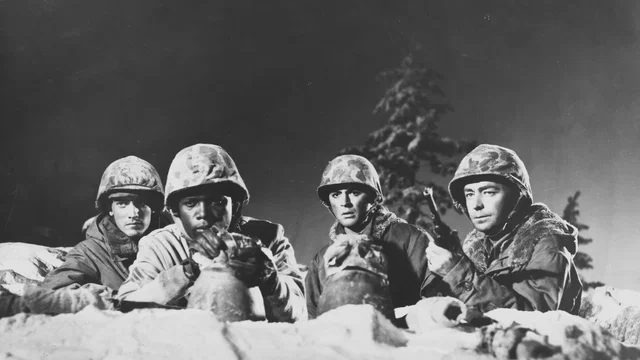 Photo 3 du film : Les marines attaquent