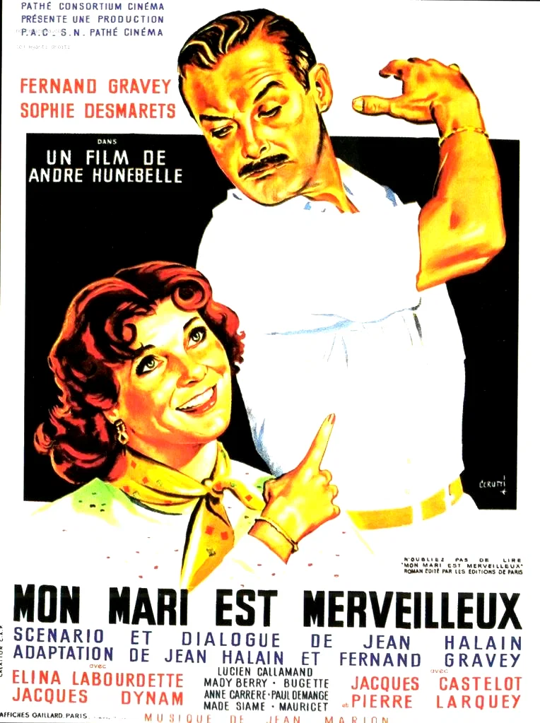 Affiche du film : Mon mari est merveilleux