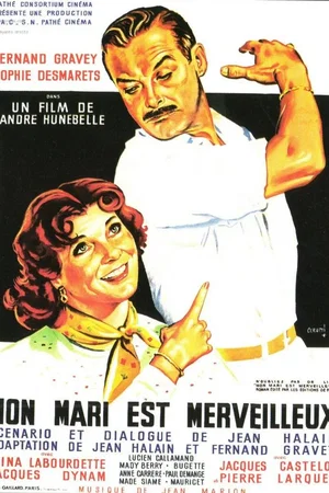 Affiche du film : Mon mari est merveilleux