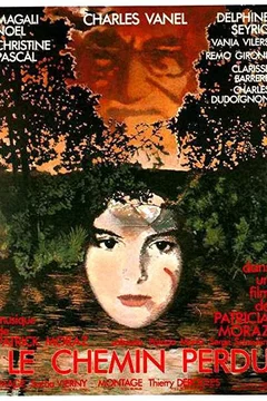 Affiche du film Le chemin perdu
