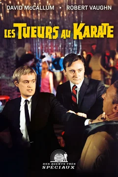 Affiche du film Tueurs au karaté