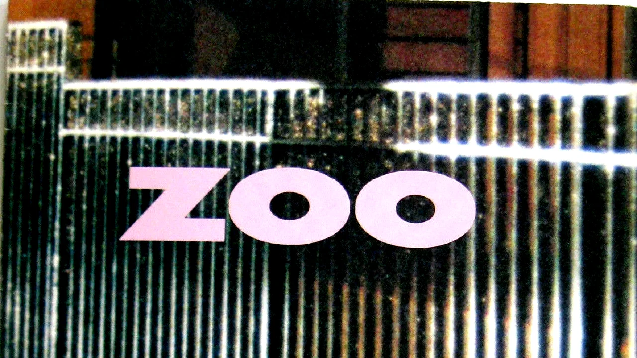 Photo 2 du film : Zoo l'appel de la nuit