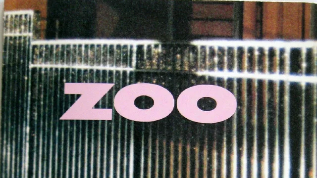 Photo du film : Zoo l'appel de la nuit