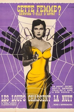 Affiche du film Les loups chassent la nuit
