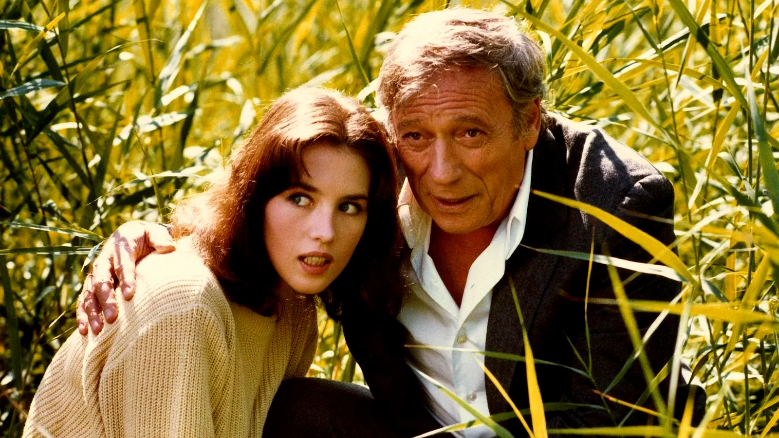 Photo du film : Tout feu, tout flamme
