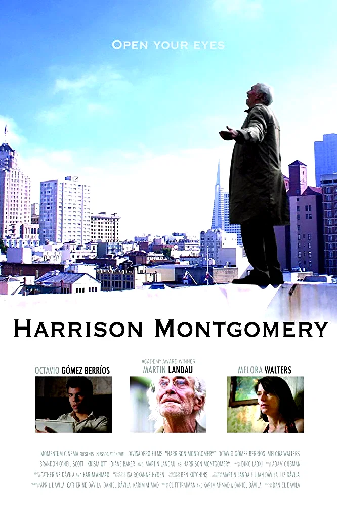 Affiche du film : Harrison Montgomery