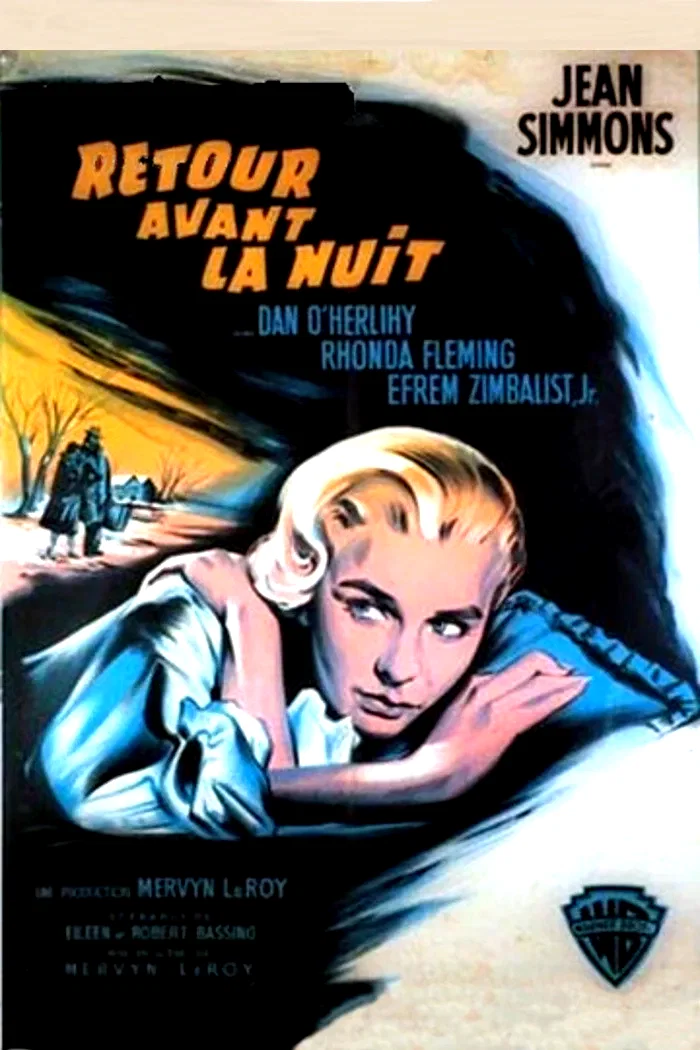 Affiche du film : Retour avant la nuit