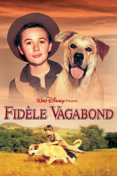 Affiche du film Le fidele vagabond