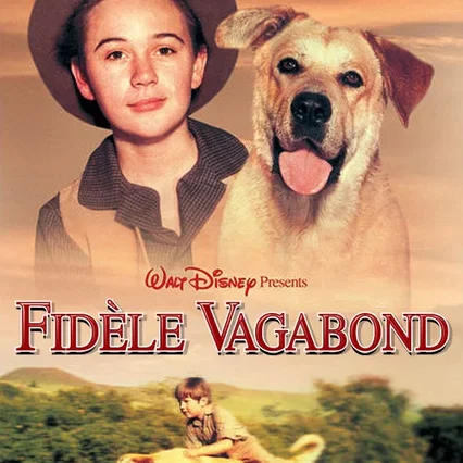 Miniature photo du film : Le fidele vagabond