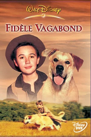 Photo 2 du film : Le fidele vagabond