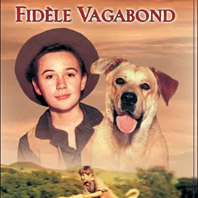 Photo du film : Le fidele vagabond