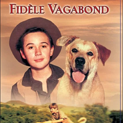 Miniature photo du film : Le fidele vagabond