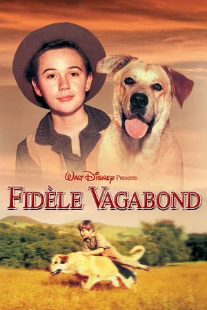 Photo 3 du film : Le fidele vagabond