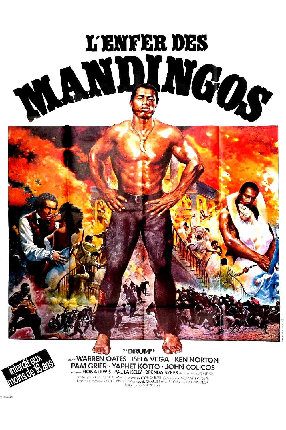 Affiche du film : L'enfer des mandingos