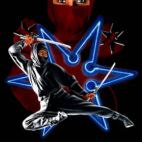Photo du film : L'implacable ninja