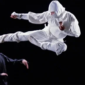 Photo du film : L'implacable ninja