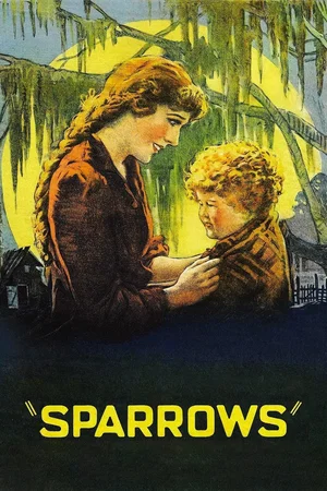 Affiche du film : Les Moineaux