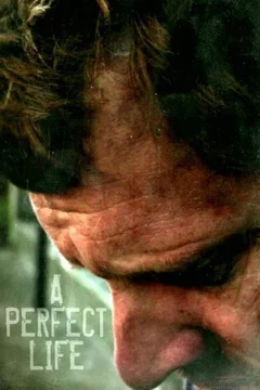 Affiche du film = A Perfect Life