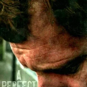 Photo du film : A Perfect Life