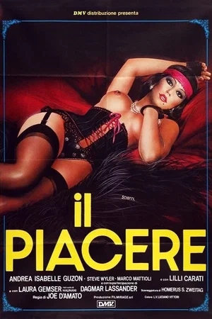 Affiche du film : La femme pervertie