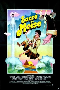 Affiche du film Sacre moise