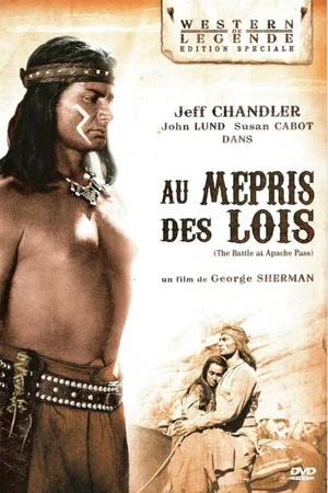 Affiche du film : Au mepris des lois