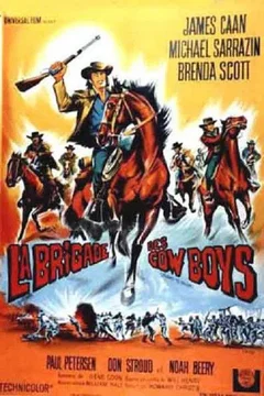 Affiche du film La brigade des cow boys