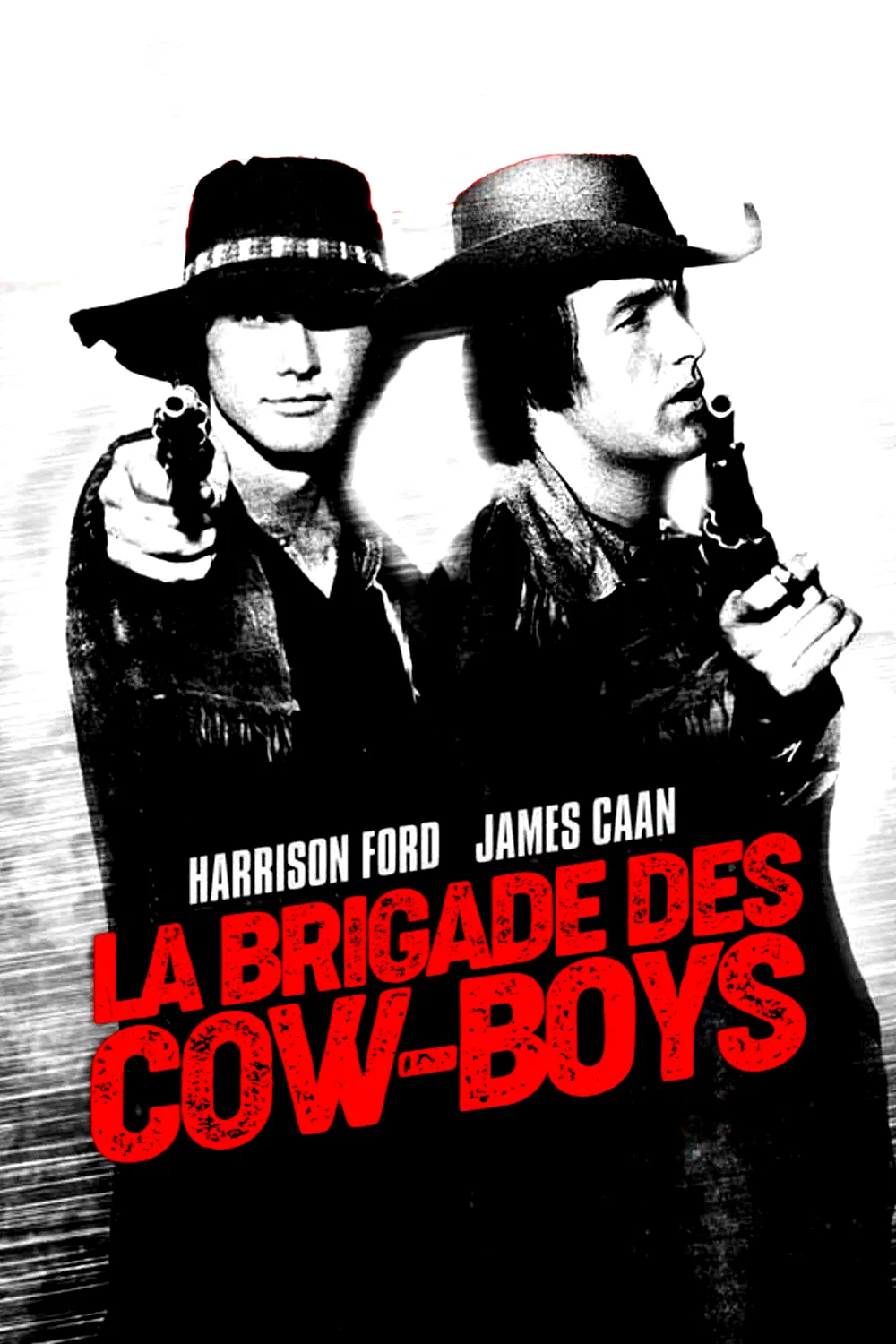 Photo 2 du film : La brigade des cow boys