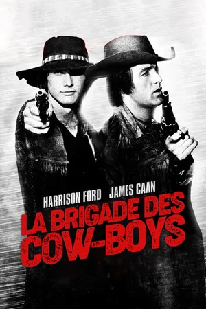 Photo du film : La brigade des cow boys