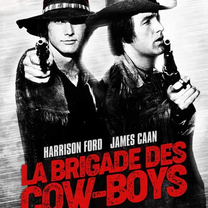 Miniature photo du film : La brigade des cow boys