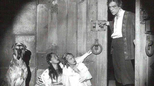 Photo 3 du film : Le baron gregor
