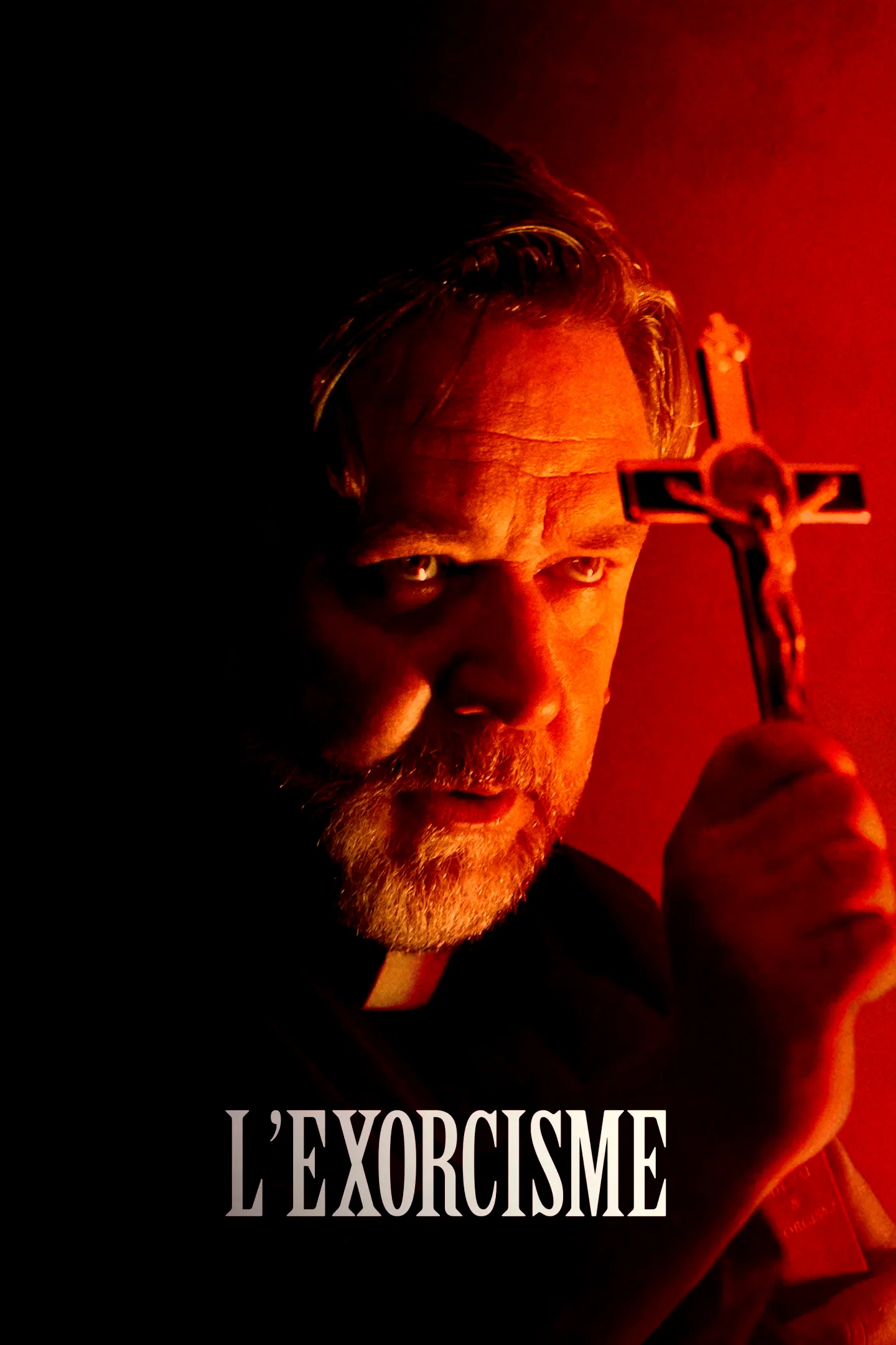 Affiche du film : The Georgetown Project