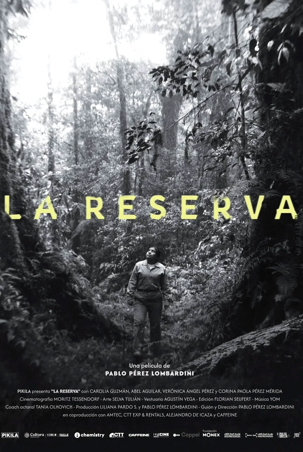 Affiche du film : The Reserve