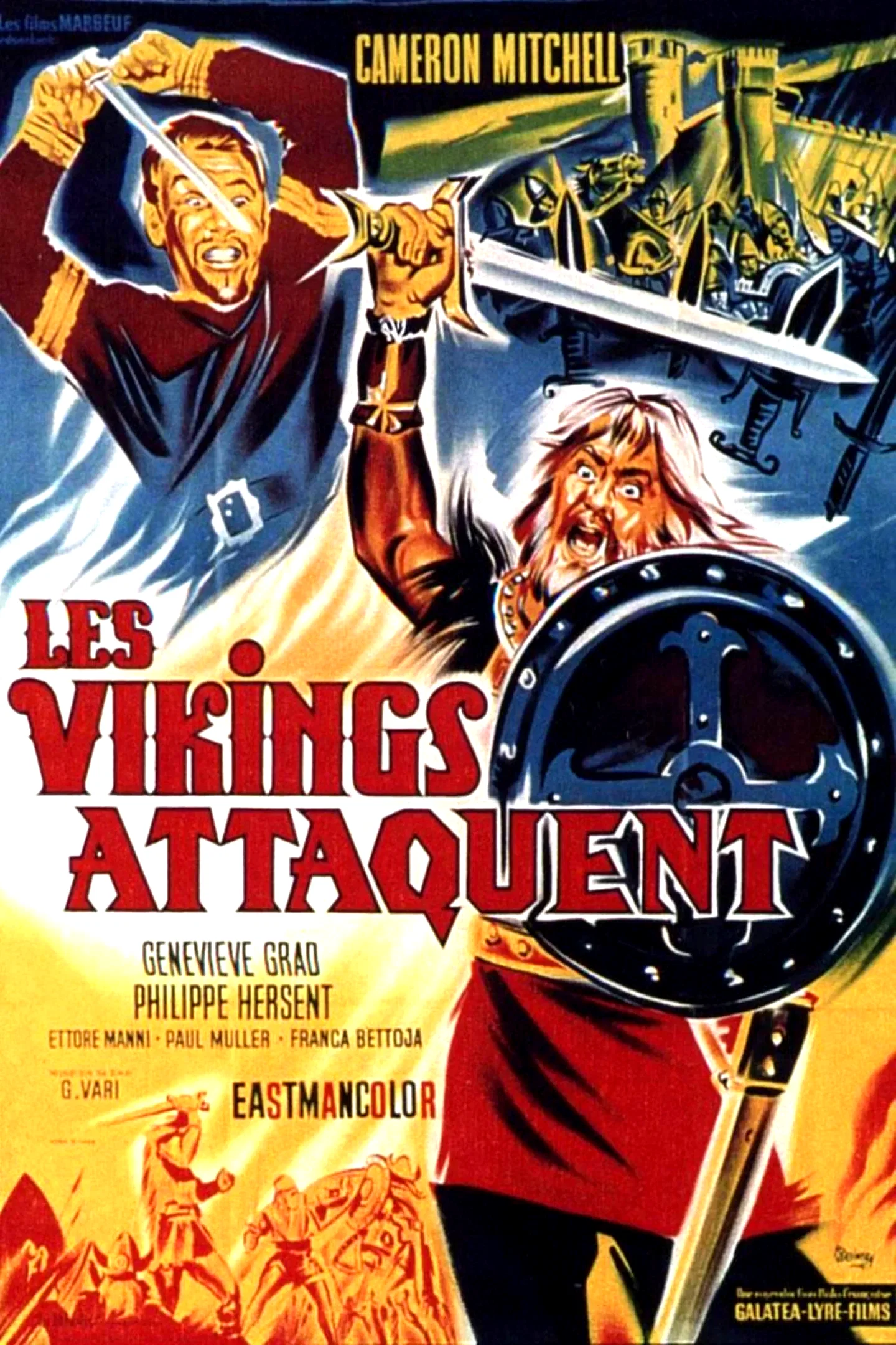 Affiche du film : Les vikings attaquent